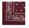 Bandana Paisley de Poliéster, Lenço Quadrado Cabeça Estilo Retro Americano, Lenço de Cabeça/Pescoço Multifuncional Hip Hop para Ciclismo ao Ar Livre Dança de Rua