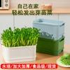 Charola para Plántulas para Cultivar Brotes de Frijol, Maceta de Germinación para Brotes de Frijol Amarillo y Verde, Charola Hidropónica para Brotes sin Tierra, Caja para Plántulas de Brotes de Frijol