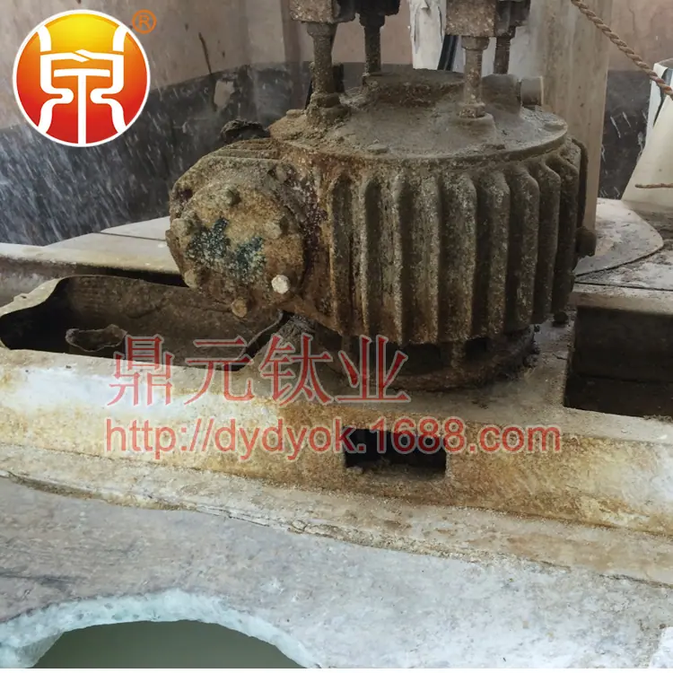 IMG_0871