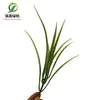 Césped artificial plástico planta acuática bonsái combinación diy bonsái planta verde decoración bonsái acuario paisaje planta artificial