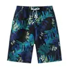 Calça de Praia Masculina Tamanho Grande de Verão Shorts Masculino de Secagem Rápida Transfronteiriço Shorts Largos para Casais Calças Masculinas Grandes Calças Masculinas