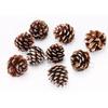 Conjunto de Pinho de Natal Pingente de Natal Decorações de Árvore de Natal Pinha Natural Tinta Branca