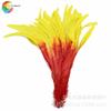 Fábrica Wen Ce al por mayor 35-40 cm dos colores color brillante gallo cola púrpura uso en escenario cola púrpura negra 100 raíz