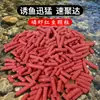 Corriente krill partículas gusano rojo río anidación 400g material de nido pesca salvaje carpa carpa cruciana brema carpa cola roja rofie mancha de piedra