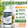 Solución Nutritiva para Plantas Hidropónicas Plantas Verdes de Interior Flores Tipo Universal Árbol del Dinero Potos Bambú de la Suerte Hoja de Tortuga Bambú Solución Enraizante