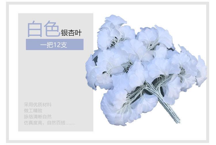 银杏叶详情_12.jpg