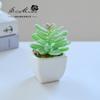 Suculenta Pequeño Bonsái Cerámica Muebles para el Hogar Decoración Fabricante de Jinhua Plantas Verdes Aliexpress Flor Artificial Plantas en Maceta