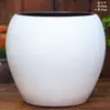 Prato Grande para Plantas Verdes Yixing Vaso para Hortênsia Vaso de Cerâmica para Suculentas Brancas Vaso para Phalaenopsis de Sala de Estar