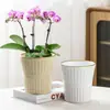 Maceta Florero Baoshi Cerámica Diámetro Grande Personalizada Creativa Hogar Phalaenopsis Suculenta Maceta Sala de Estar Balcón Plantación