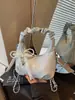 Bolso de Mano para Mujer 2026 Nuevo de Moda Tendencia Nicho Súper Popular Casual Bolso de Hombro Cadena Cruzado Bolso Plegado