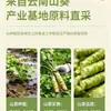 Pasta de wasabi autêntica e fresca da loja oficial - Wasabi de grau comercial japonês, moído na hora para pratos de sushi com salmão estilo japonês