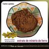[A partir de 500g] Matéria-prima homóloga medicinal e alimentar Pó de Dendrobium Officinale Natural 10:1 Extrato Hidrossolúvel de Dendrobium