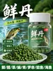 Gránulos de Lombriz de Tierra Fresca, Cebo y Anzuelo de Pesca de Uso General, Especializados para Capturar Carpa Crucian, Carpa Herbívora y Carpa Negra, Adecuados para Pesca Deportiva en Exteriores