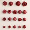 Al por mayor Cinabrio Natural Alto Contenido Arena Dorada Púrpura Semilla de Loto Flor de Loto Cuentas Espaciadoras Accesorios para Joyería DIY