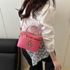Bolso de Mano Casual Casual para Mujer 2025 Verano Nuevo Moda Nicho Bolso Cuadrado Pequeño Moderno de un Solo Hombro Cruzado