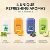 Versión en Inglés Transfronteriza Inhalador Nasal de Doble Agujero Aceite Refrescante Nasal Herramienta Antisueño para Clase, Desvelarse, Conducir Larga Distancia