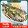 Lubina 400g Congelada Lubina Grande Espalda Abierta Mariscos Marinados Productos Acuáticos Frescos Barbacoa Estofado Olla Seca Ingredientes de la Cocina de Hunan