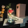 Flor Preservada em Acrílico Rosa com Folha de Ouro e Lâmpada LED Quente Presente de Dia dos Namorados Presente de Aniversário Fornecimento Transfronteiriço