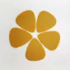 Palheta de guitarra branca palheta Acessórios de guitarra palheta preta Impressão Cor Impressão Palheta de guitarra