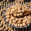 Semillas de Gastrodia, Semillas de Gastrodia de Yunnan, Frijoles Pequeños de Gastrodia, Semillas de Gastrodia, Garbanzos, Frijoles de Longevidad al por Mayor y Entrega