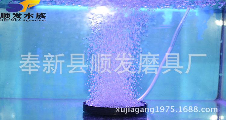 DSC_2119_副本 拷贝