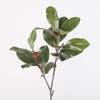Simulación 2 Ramas Planta de Hoja de Magnolia Rama de Magnolia Camelia Planta Verde Plantación de Paisaje Arreglo Floral Hoja de Magnolia Decorativa Bonsái Decorativo