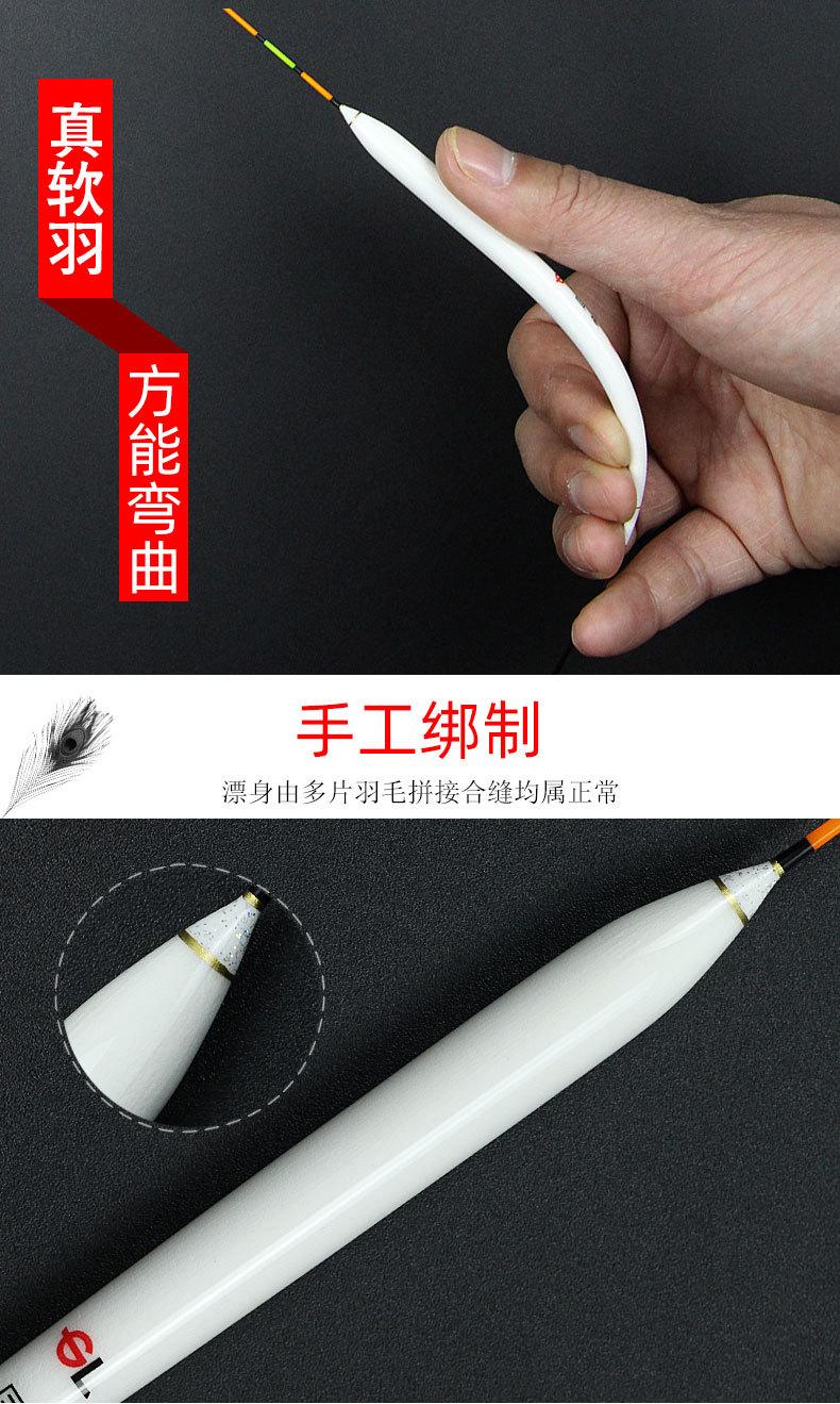 国林孔雀羽_03.jpg
