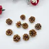 Pinhas Secas Naturais Materiais de Decoração para Árvore de Natal Fotografia de Bolos e Sobremesas Adereços para Fotografia de Buquês Florais Baoshi