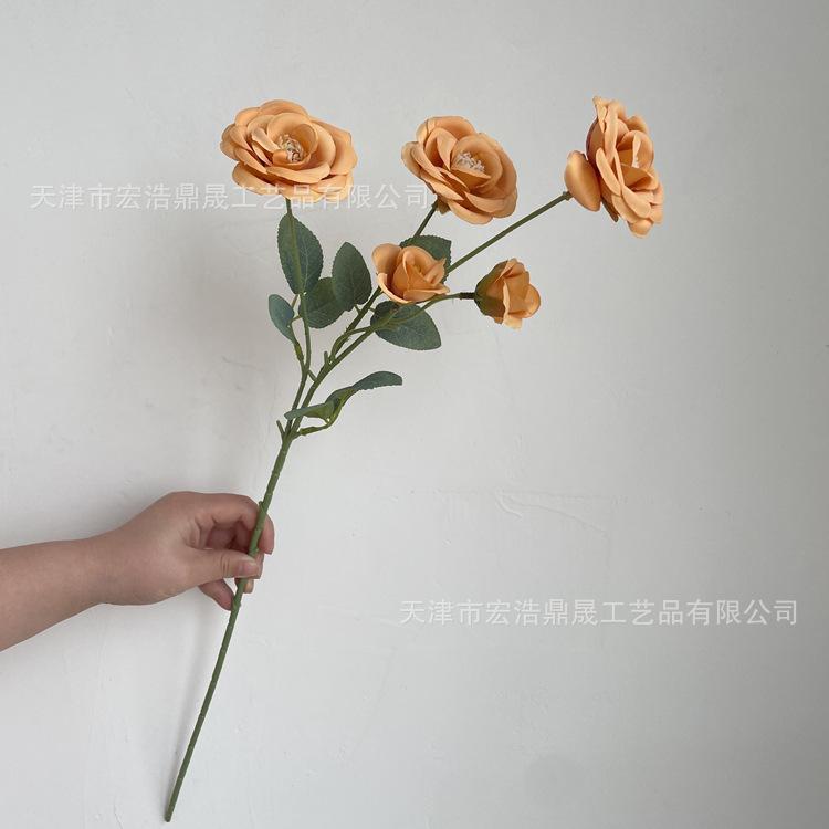 微信图片_202204111604484_副本