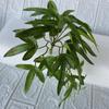 Begonia Pteris de mango pequeño, planta verde en maceta, decoración para festivales, simulación de hogar, decoración de enredadera, planta de hojas, material de pared