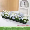 Flores Artificiales, Arreglos de Flores Falsas, Césped Artificial, Flores de Plástico, Plantas Verdes, Maceteros, Canaletas para Flores, Arreglos Florales, Flores de Seda, Separadores, Vallas, Plantas Verdes, Paisajismo