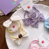 Cuerda para el pelo de encaje dulce de primavera, todo a juego, para niña, alta elasticidad, cuerda para el pelo, color caramelo, corazón de niña, banda de goma para niños, par