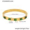 Conjunto de Pulseras con Cierre de Acero Inoxidable Piedra de Vidrio Dopamina Misteriosa Color Dorado Chapado Retención de Color Decoración de Pulsera de Zirconia