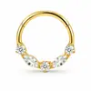 Anillo nasal cerrado sin costuras de aleación de titanio G23 con incrustaciones de circonita Zhenping, aro para tabique nasal y hueso de la oreja, joyería nasal finamente tallada F136
