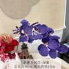 Flor artificial al tacto real flor grande Wandaian flor artificial Phalaenopsis flor Huji comercio exterior adornos para sala de estar decoración de arreglo floral para boda