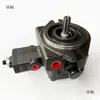 Bomba de paletas de desplazamiento variable VP-20-FA3 Conjunto de bomba hidráulica VP-15-FA3 Cabezal de bomba de aceite hidráulico SF Accesorios para estación hidráulica