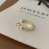 Clip para oreja de pedrería para mujer sin perforación oreja personalidad de nicho moda temperamento simple combinable lujo ligero pendientes de clip de oreja de alta gama