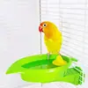 Espejo Flor de Loro Comedero Piel de Tigre Macho Hoja Aérea Comedero Bañera Tina Jaula para Pájaros Multiusos Suministros