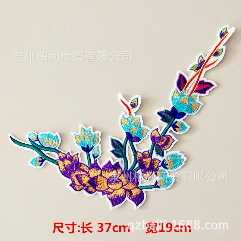 金线荷花-570