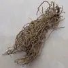 Cuatro Baldosas, Cuatro Hojas, Cuatro Hojas de Asarum, Venta al por Mayor y Entrega de Wan Gendan