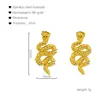 Novos Brincos Europeus e Americanos Transfronteiriços em Aço Inoxidável com Zircônia Embutida em Formato de Cobra, Novos Brincos Americanos Retrô Street Trendy de Design de Nicho