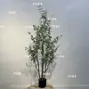 Planta Artificial Nórdica Simulada Árbol del Dinero Eucalipto Planta Verde Falsa Planta en Maceta Decoración Interior para el Hogar Adornos Grandes para el Suelo