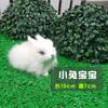 Adornos de animales de pelo de conejo de simulación, juguetes de animales de conejo de simulación, decoraciones para el hogar al por mayor