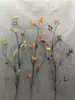 Simulación de Hojas de Otoño Envolviendo Ramas Secas, Techo, Ramas y Arreglo de Ratán, Hojas de Bayas Silvestres, Enredaderas, Ramas Secas, Paisaje Floral Suave