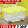 Jaula para Hámster Jaula de Transporte Grande Mediana Pequeña Pequeña Caja de Alimentación Acuario para Peces Dorados Caja para Tortugas Plástico Cerrado