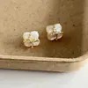 Brincos de Caqui da Boa Sorte, Colar de Caqui da Boa Sorte, Brincos de Ágata Vermelha, Brincos de Olho de Tigre com Madrepérola Branca, Colar de Trevo de Quatro Folhas