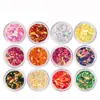 Lentejuelas para uñas grano de arroz pequeño Parche para uñas con forma especial japonesa Taladro de uñas Set de lentejuelas ojo de caballo 12 colores