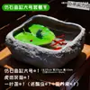 Acuario Pequeño de Escritorio Estilo Tradicional para Decoración del Hogar en Sala de Estar, Balcón u Oficina; Estanque Hidropónico; Mini Acuario de Piedra Artificial