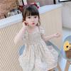 Vestido de Verano de Manga Corta para Niñas Bebé Celebridad de Internet Niños Marca de Moda Coreano Floral Plisado Chifón Vestido de Princesa Niño