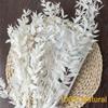 Flores secas, flores eternas, folhas ricas, buquês faça você mesmo, arranjos de casamento de alto nível, adequados para decoração de casa, distribuição internacional